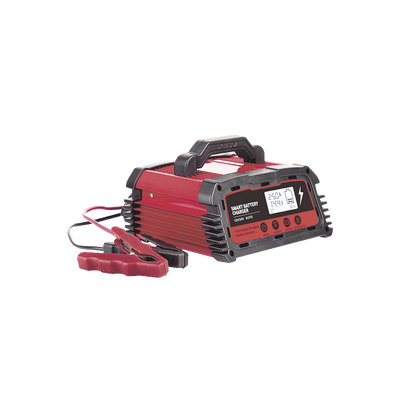 Imagen de Cargador de Baterías / 12 o 24 Vcc / hasta 250 Ah / 25 A / Display LCD