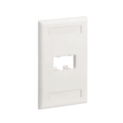 Imagen de Placa de Pared Vertical Clásica, Salida Para 2 Puertos Mini-Com, Con Espacios Para Etiquetas, Color Blanco