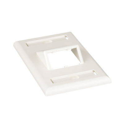 Imagen de Placa de Pared Vertical Clásica, Salida Para 2 Puertos Mini-Com Inclinados, Con Espacios Para Etiquetas, Color Blanco Mate